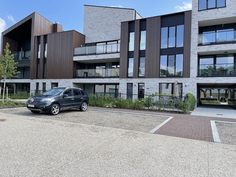 coffee and-coffee-beans